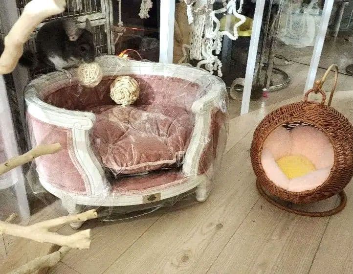 高級 フレンチ ロココ ミニ ソファー 飾り スーパードルフィー 子供 ペット