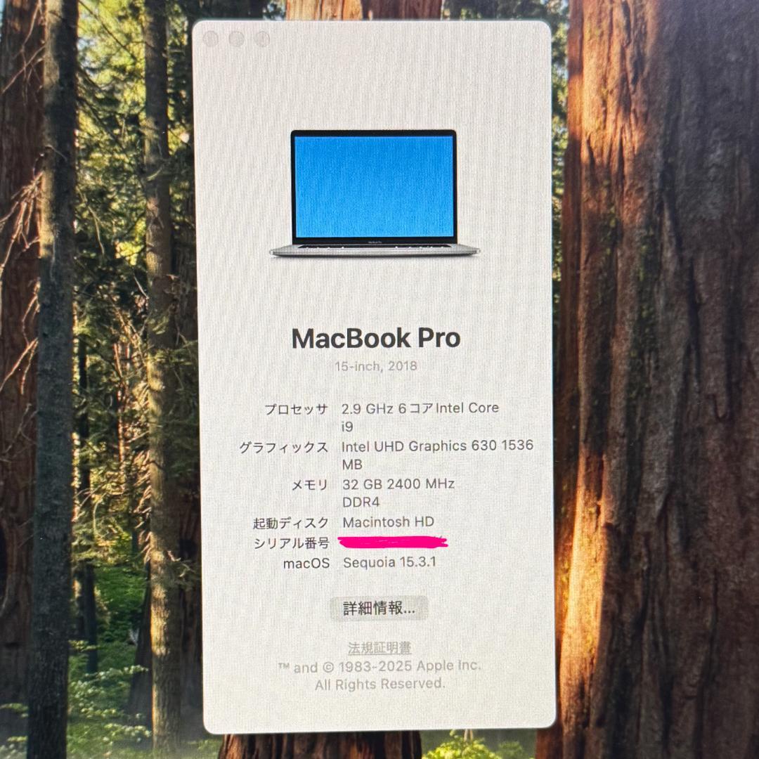 Macbook Pro 15インチ　2018　i9　32GB　1TB　US　美品