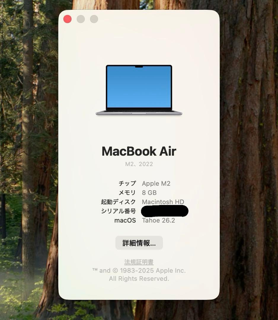 MacBook Air M2 13インチ 1TB US配列 動作良好 本体のみ