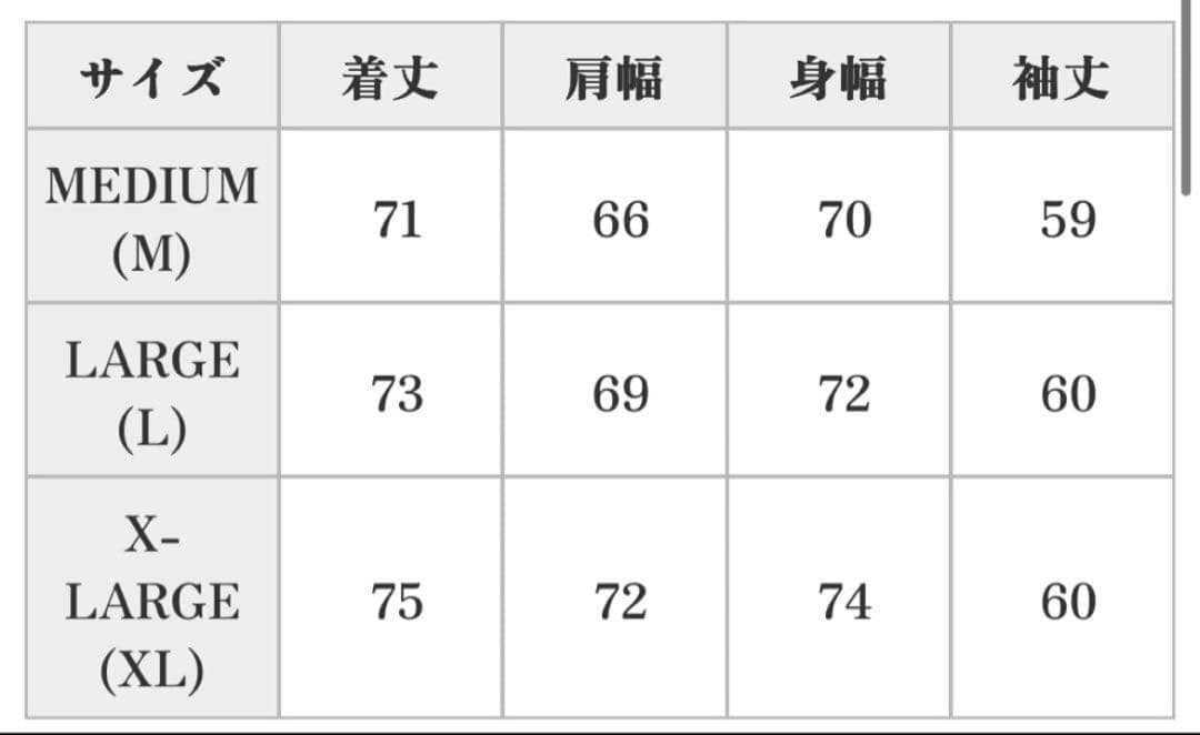 美品CHALLENGER NATIONAL RACING JACKET　Lサイズ