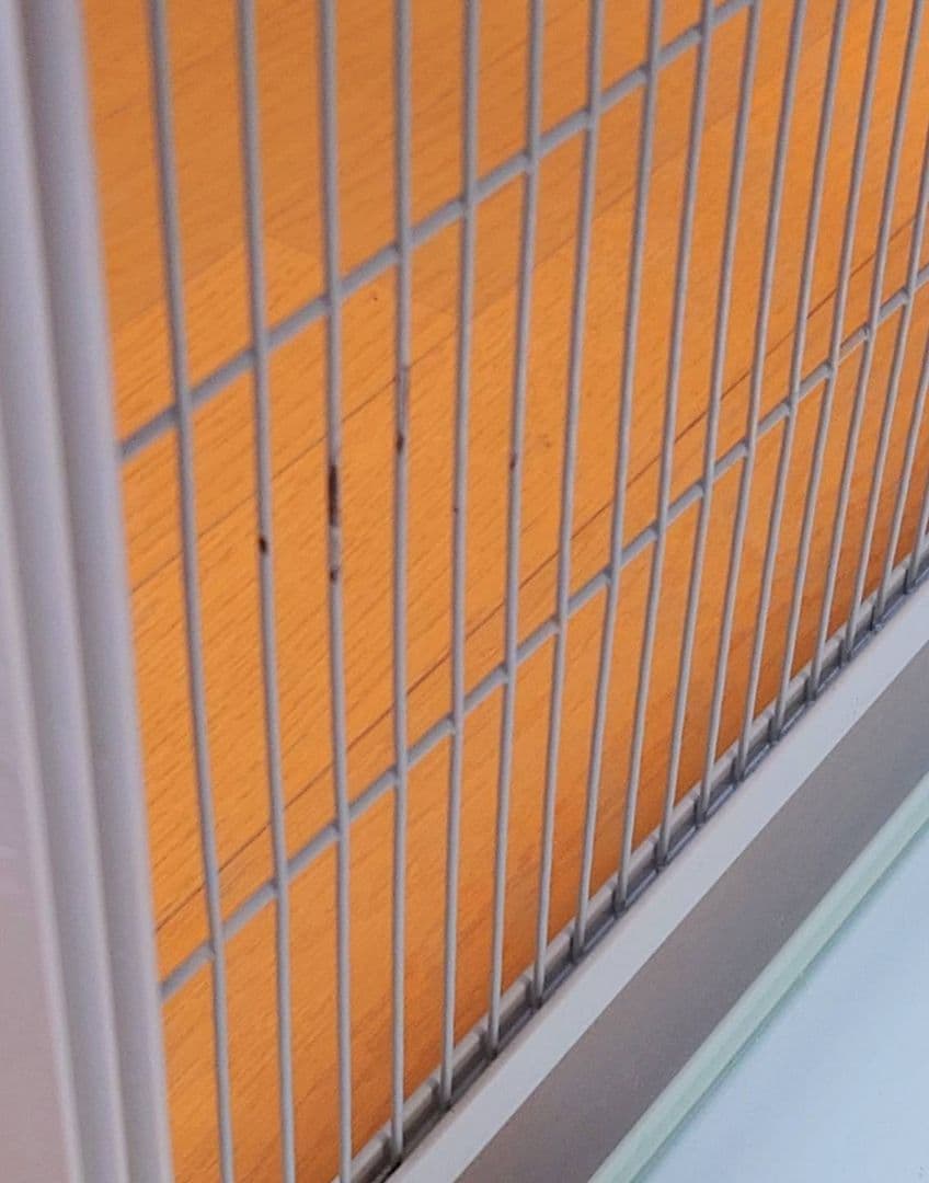 三晃商会 パンテオン ホワイト WH6045 ケージ 爬虫類 小動物