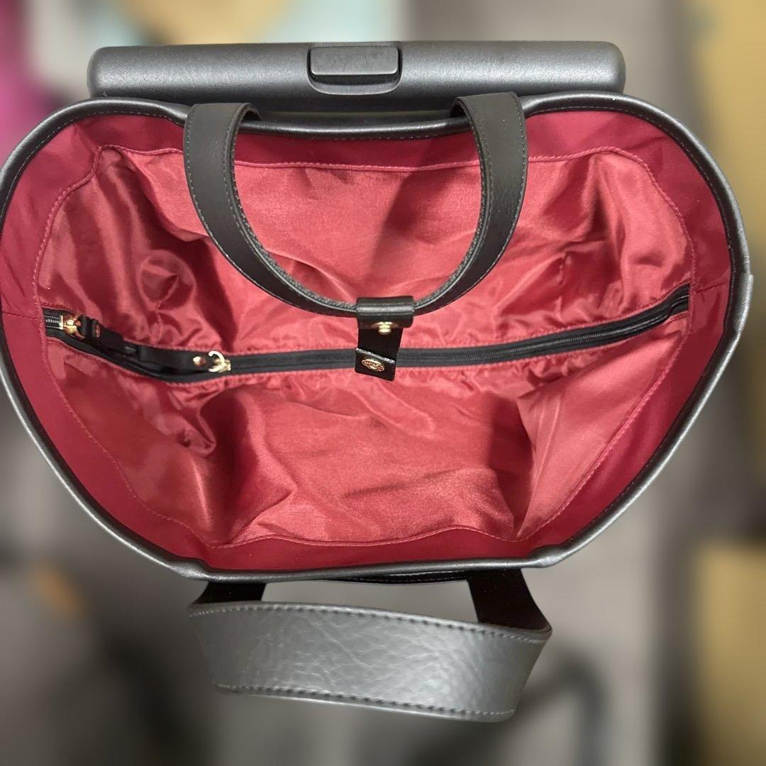 SWANY スワニー　キャリーバッグ D-589 プーフォ M21