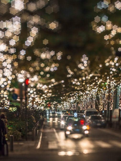 32　美品【希少】星ボケIndustar61 L/Z MC 50mm f2.8