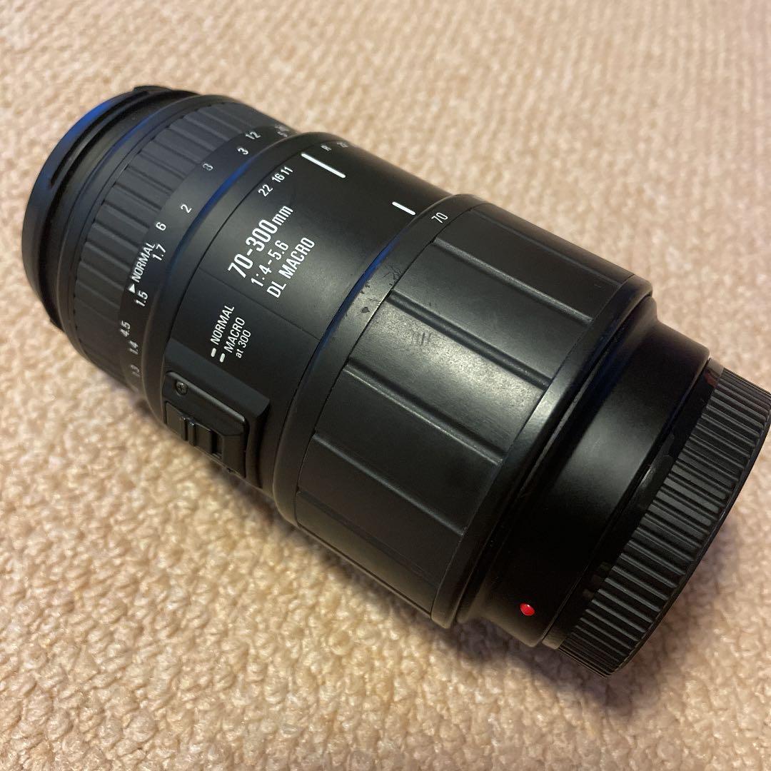 【SIGMA】一眼レフ望遠レンズ フード付き