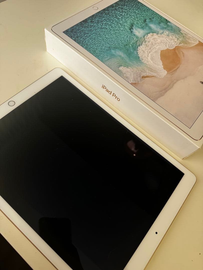 【訂正】iPad pro 12.9 256GB 第ニ世代　ジャンク品