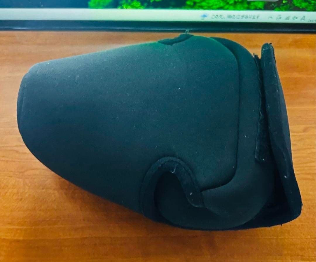 Canon EOS R10 ボディ　ケース付き