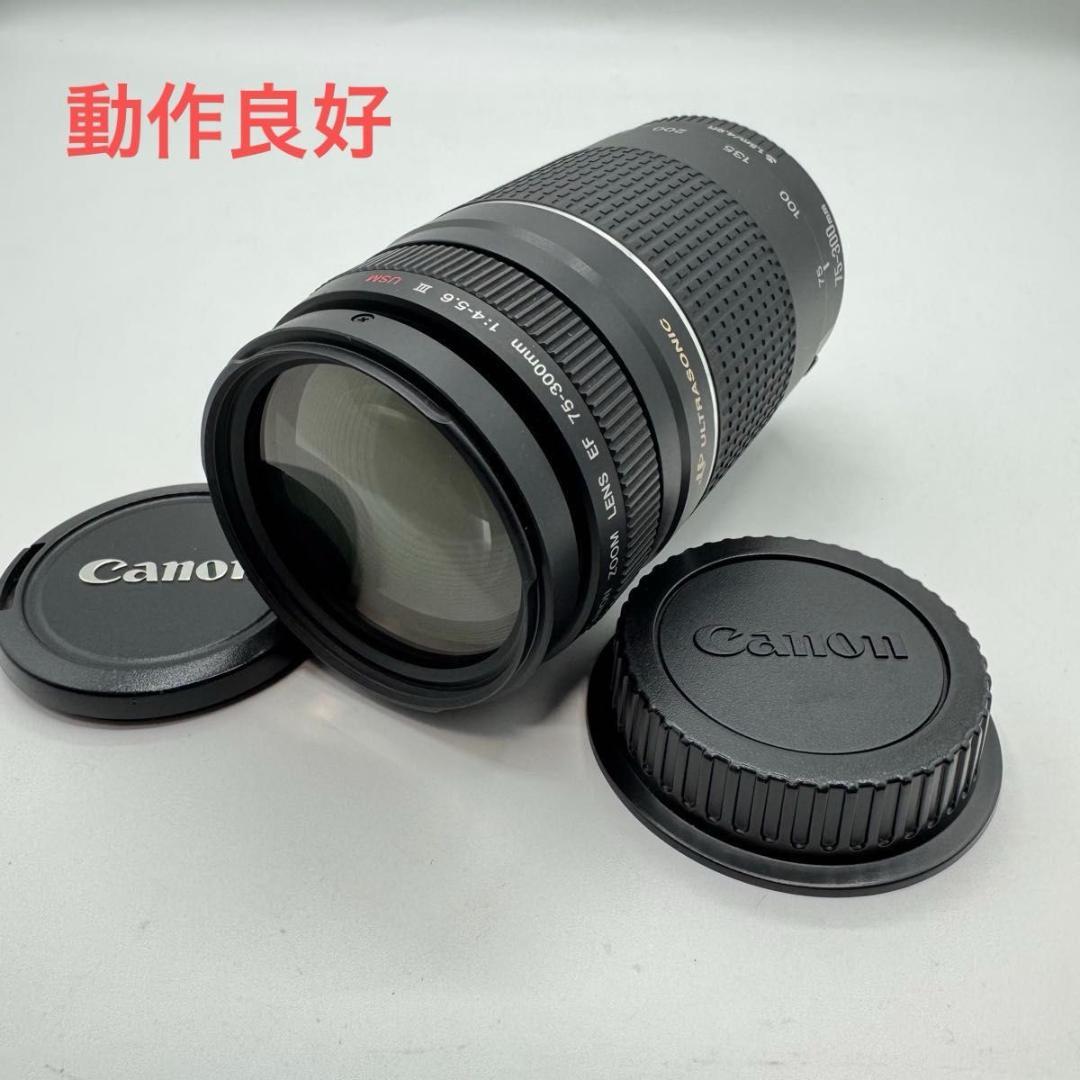 Canon EF 75 300mm 4 5.6 III USM ズームレンズ　②