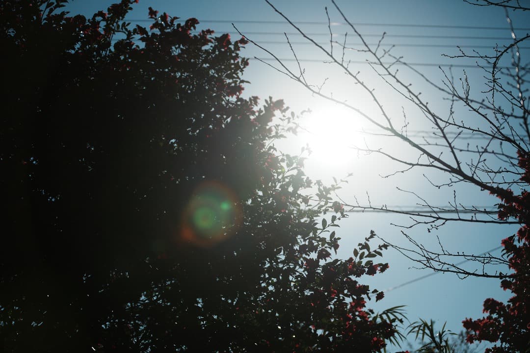 動作OK SONY 70-200mm F2.8G SAL70200G