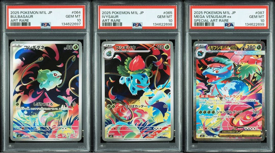 psa10 フシギダネ、フシギソウ、フシギバナ　3連番 メガブレイブ