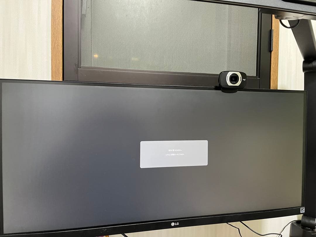 LG モニター ディスプレイ 29WP500-B 29インチ