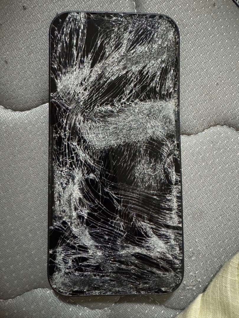 Junk Google Pixel 9a 本体