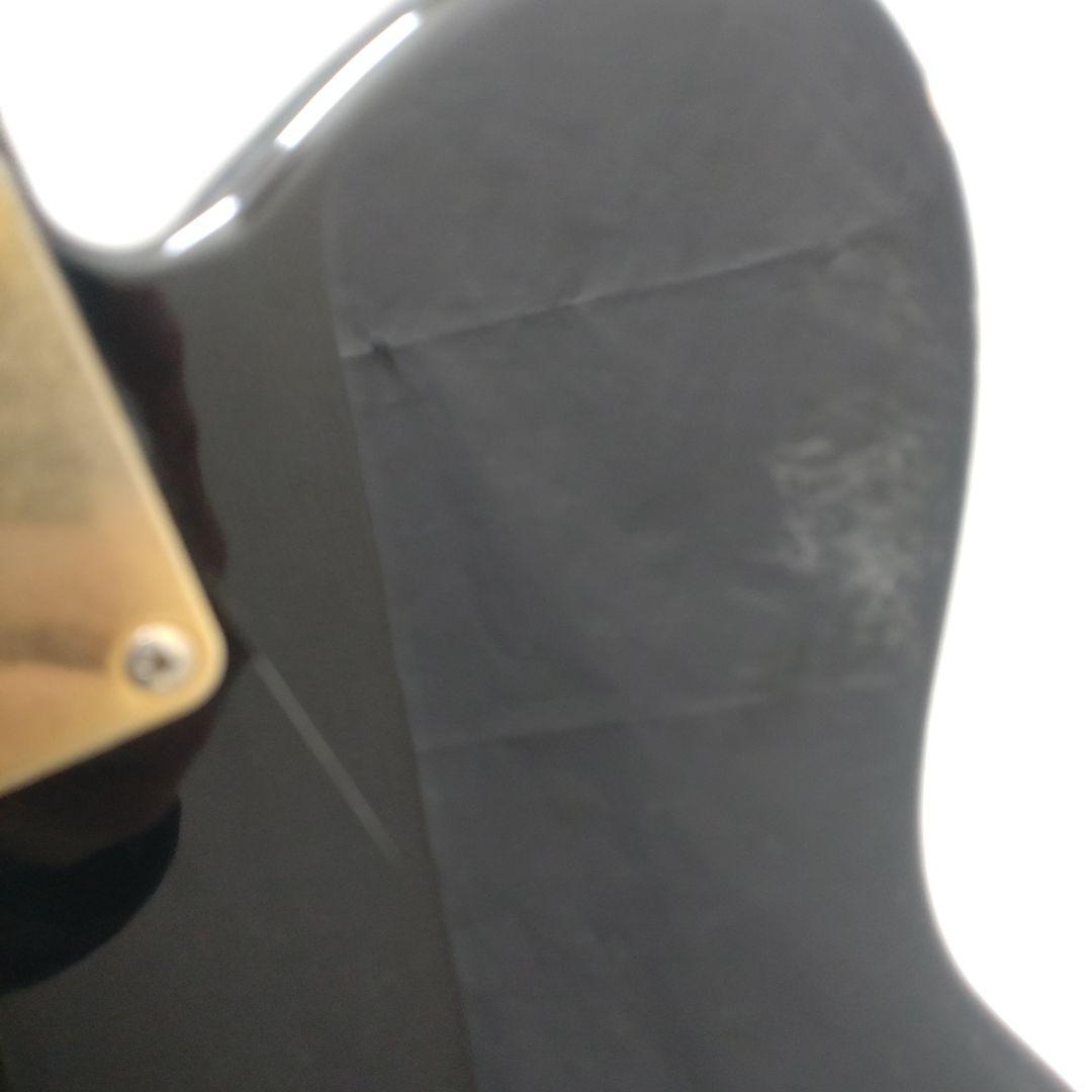 FERNANDES TEJ Limited Edition TEJ-55G 布袋