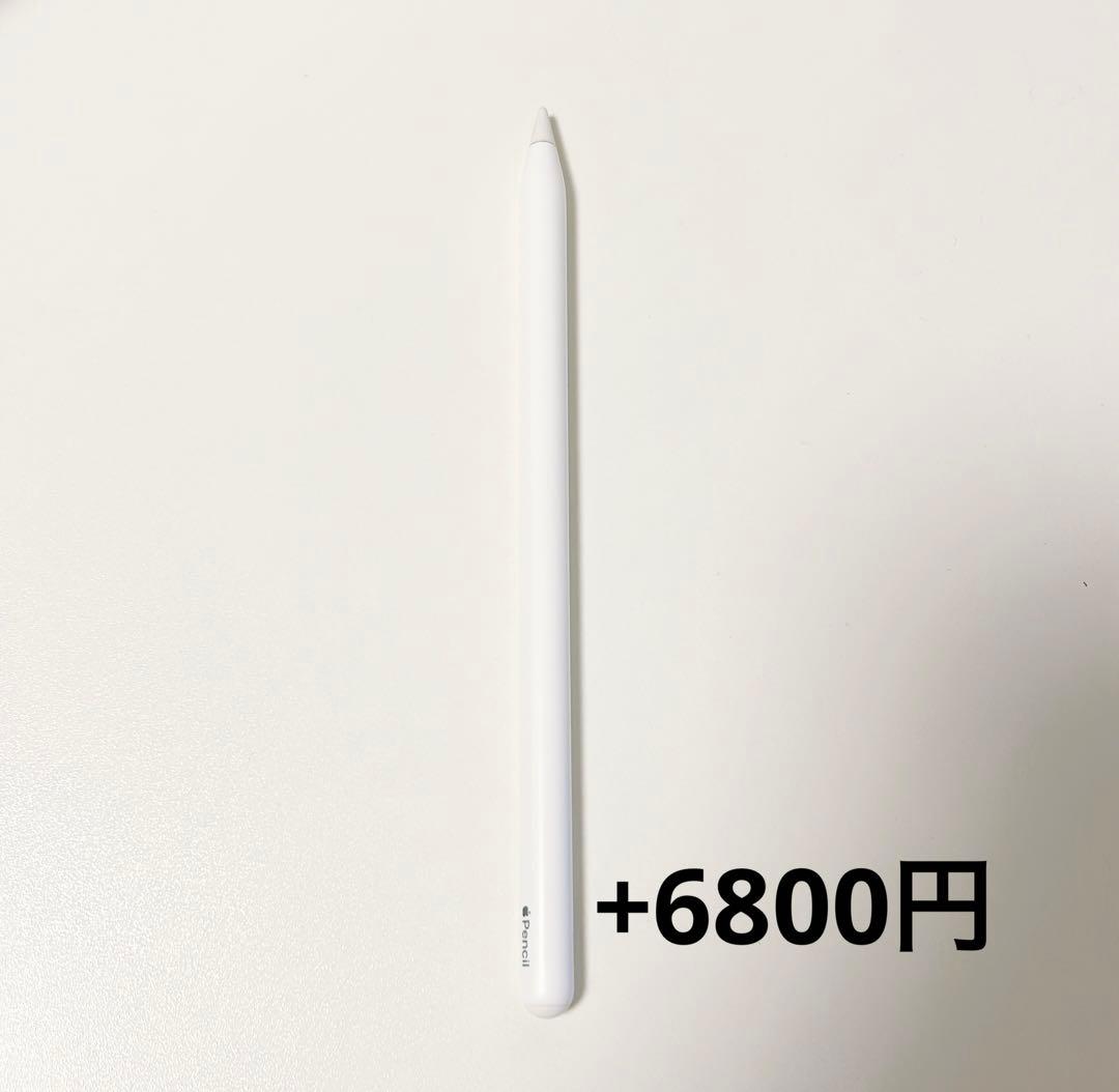 APPLE iPad Pro 12.9インチ WI-FI 256G スペグレ