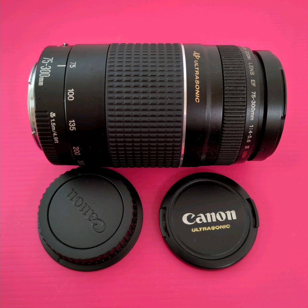 極美品⭐️Canon キヤノン EF 75-300mm 4-5.6 Ⅲ USM