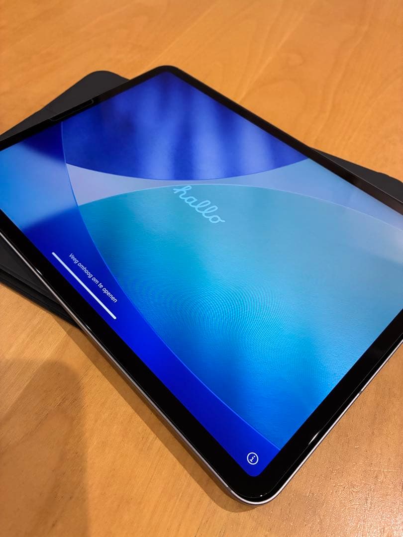 【ちゃっぴ様】iPad Pro 11インチ第4世代（M2） セルラー