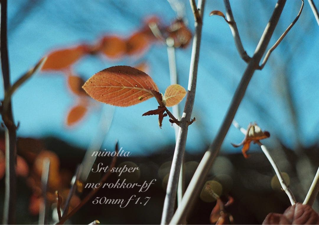 ★ミノルタ srt super＊レンズセット★完動品＊美品＊初期保証★作例多数！