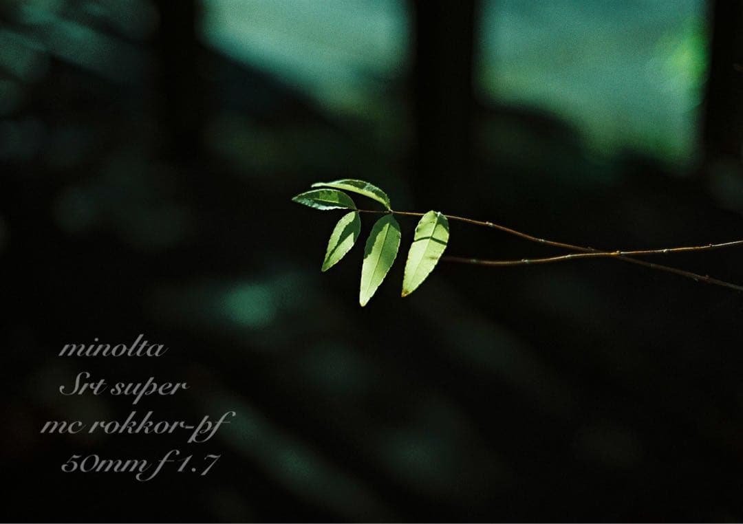 ★ミノルタ srt super＊レンズセット★完動品＊美品＊初期保証★作例多数！