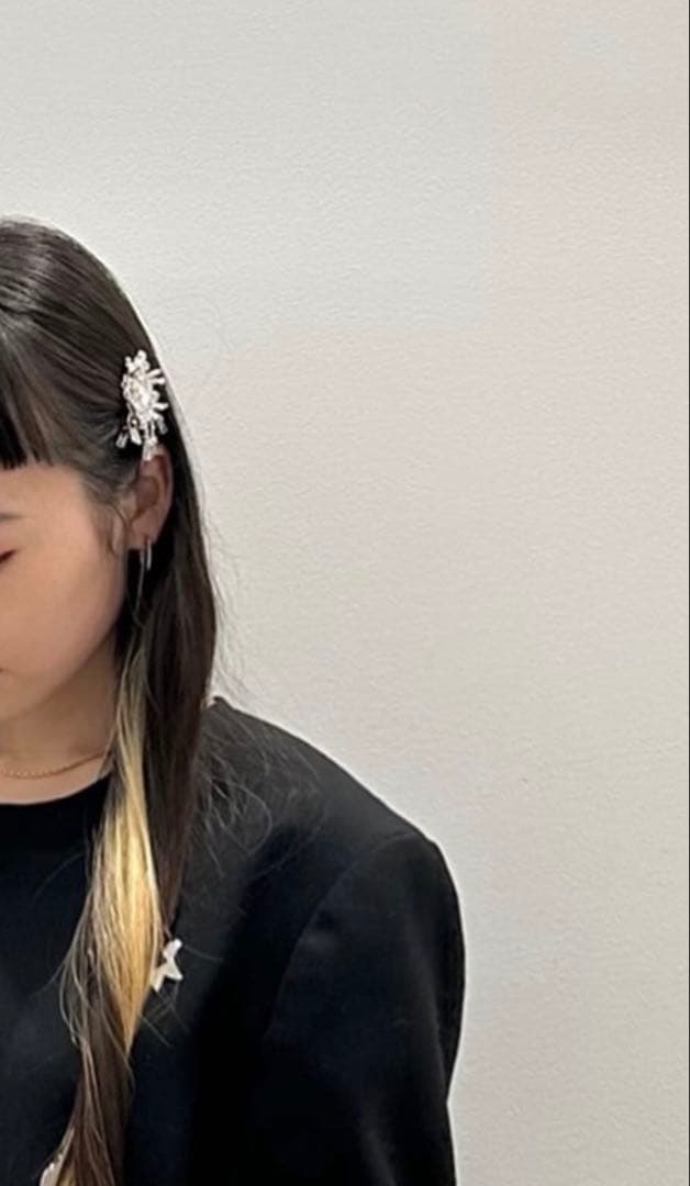 Tanaka Daisuke / crystal hair clip 右用