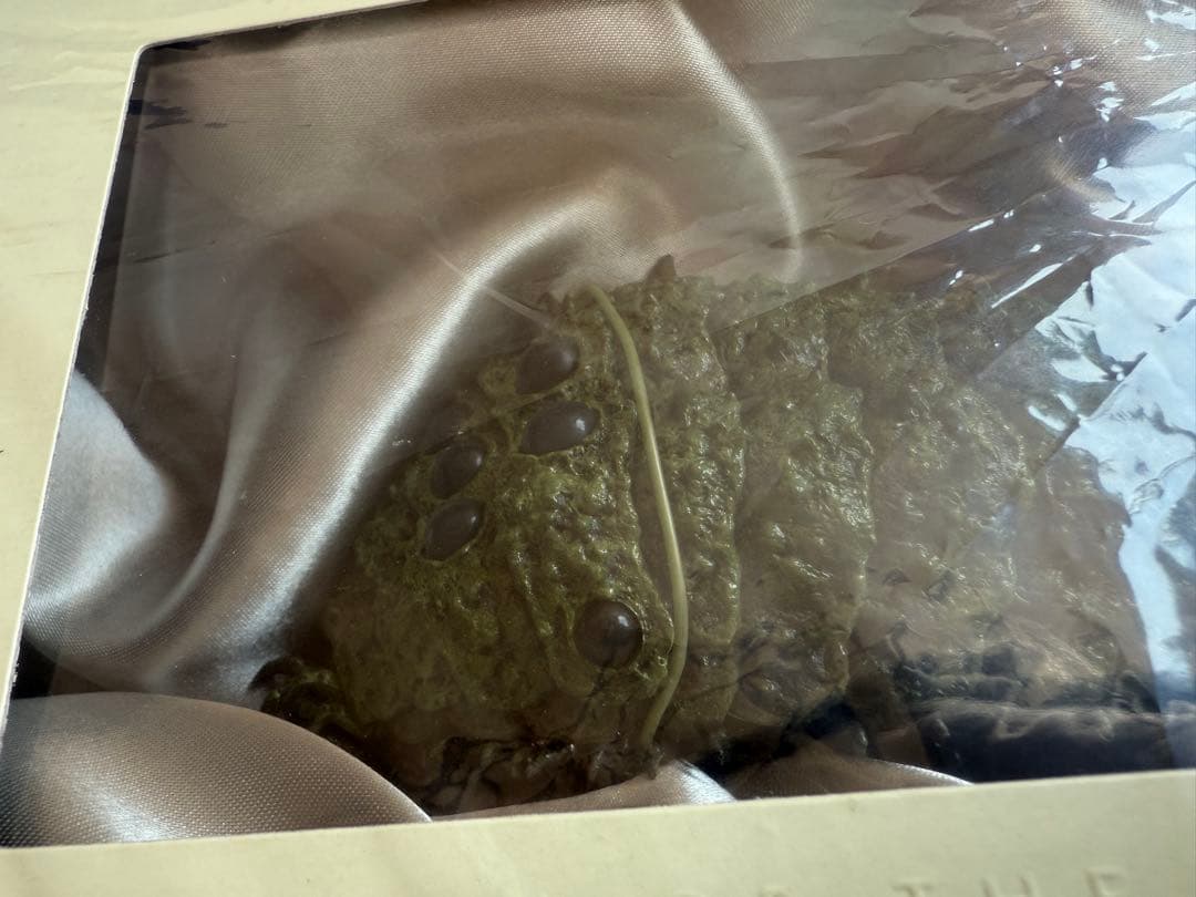 風の谷のナウシカ DVDコレクターズボックス