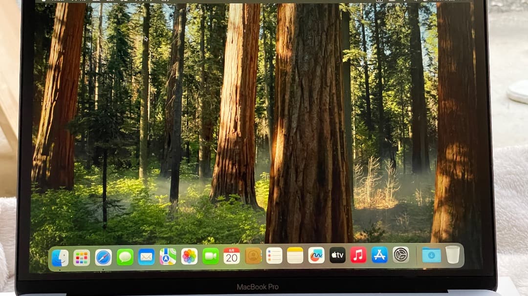 【美品】MacBook Pro 13インチ 8GB 512GB M1チップ