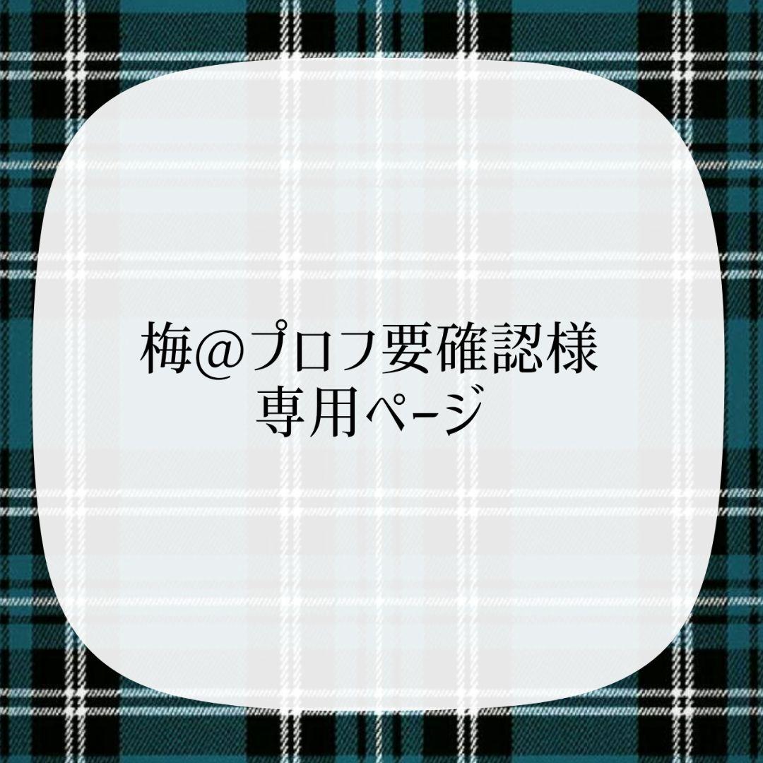 梅@プロフ要確認ページ