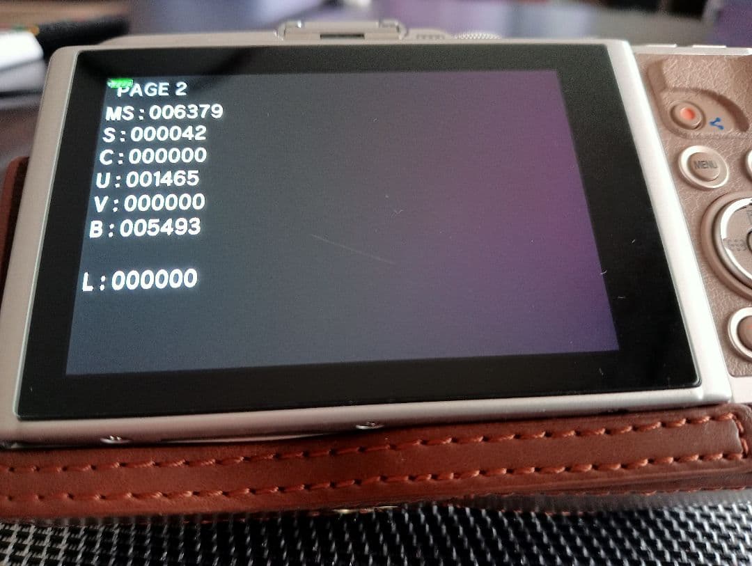 OLYMPUS　pen E-PL10