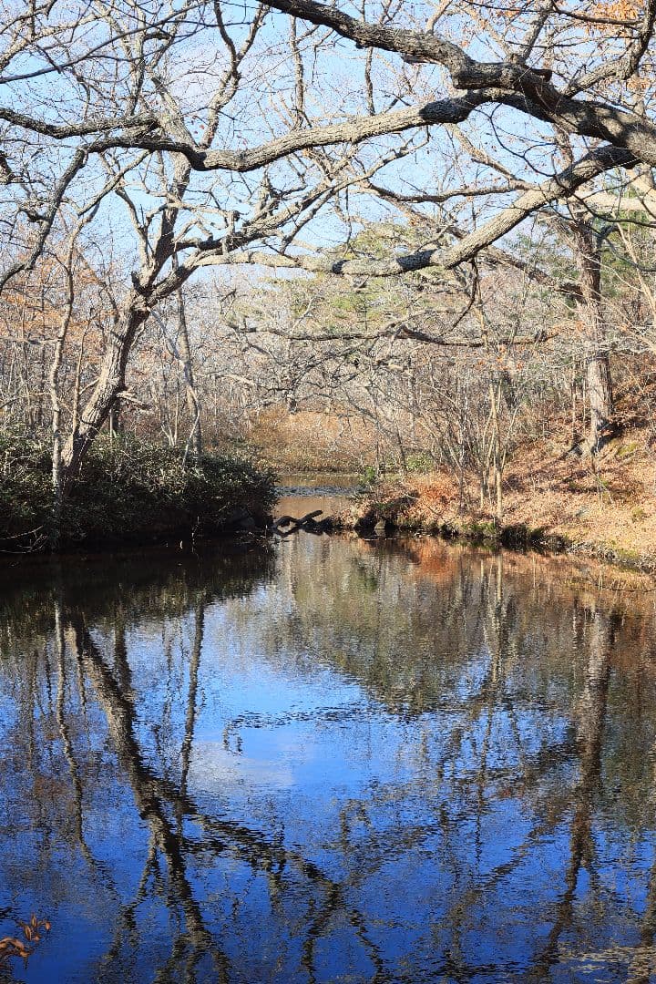 Super-Takumar 55mm F1.8 前期型 S/N：1138358