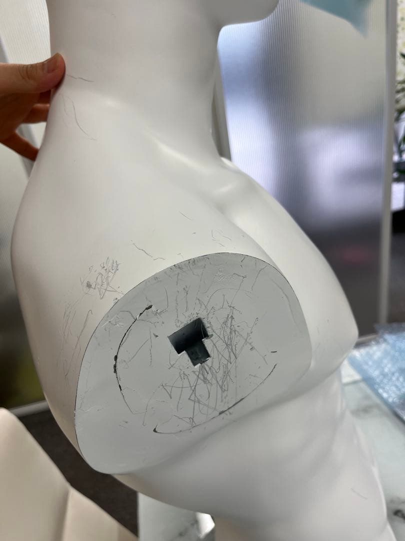 弐宮蜂太さん専用　マネキン　男　マッチョ　筋肉