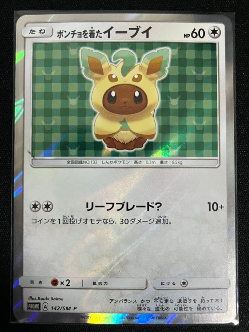 ポンチョを着たイーブイ リーフィア