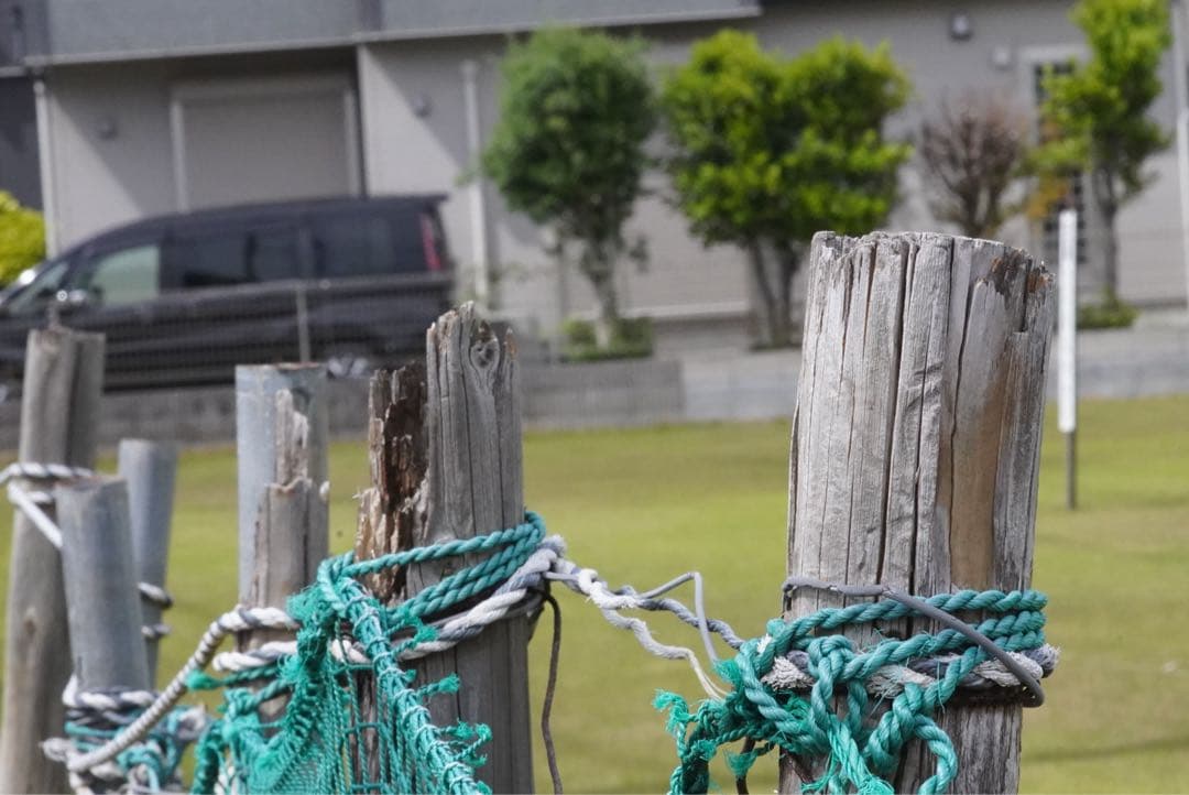 レンズ(単焦点) Nikkor-PC Auto 105mmF2.5