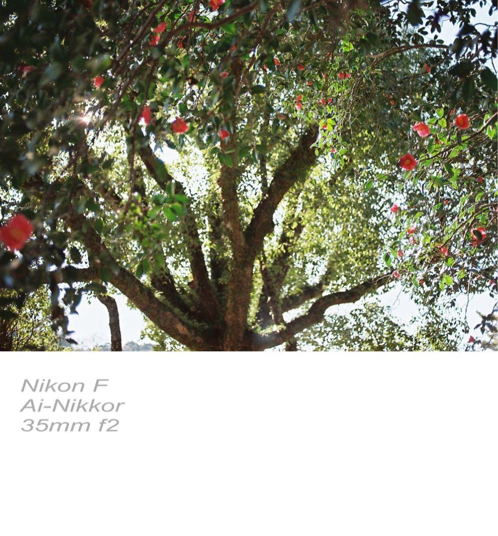 nikon f フォトミック★完動品＊美品＊初期保証★35mm f2！★作例必見