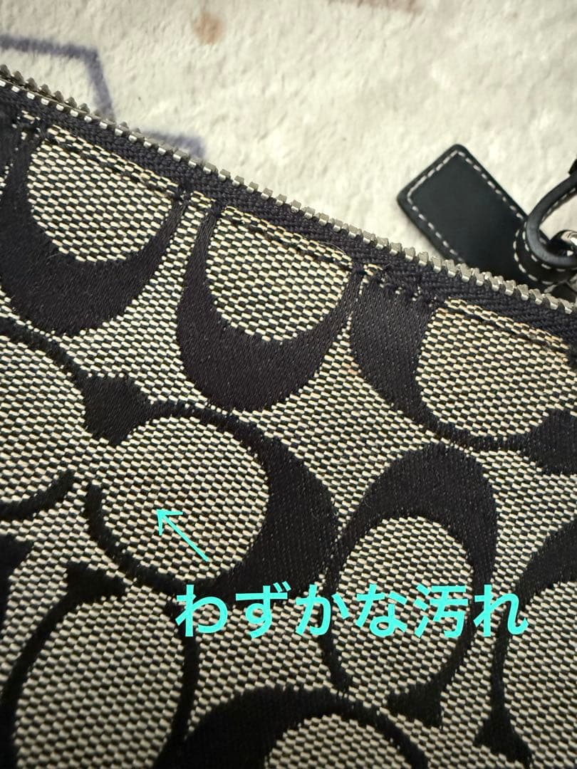 COACH コーチ ミニハンドバッグ ポーチ 保存袋付き