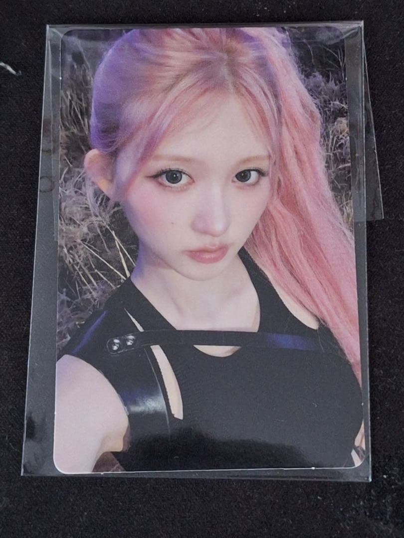 Ive ガウル　Bang Bang サノク　トレカ