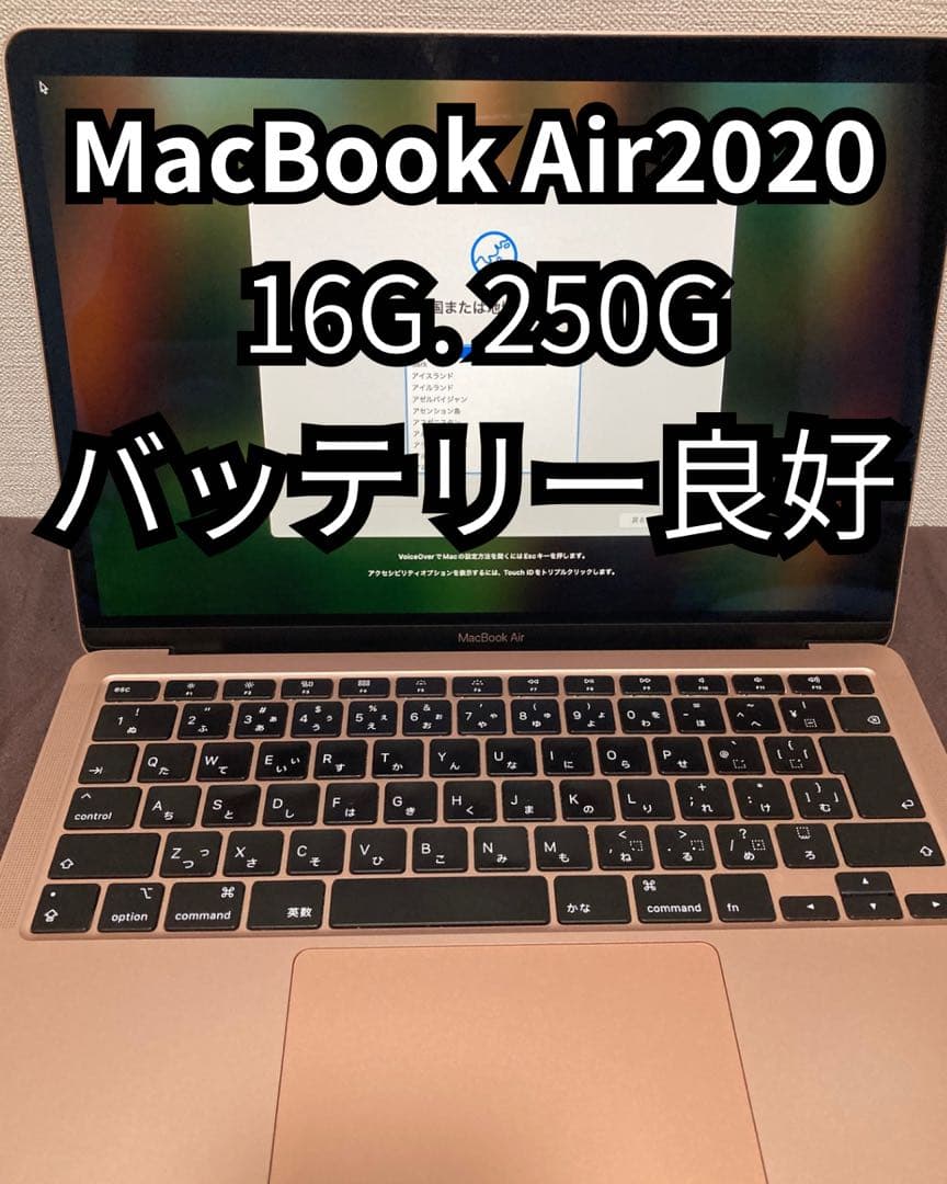 【Sumire】⚠️〇〇出品です。他の方は購入をご遠慮ください。