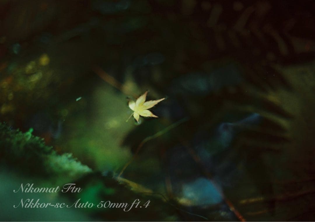 nikon ftn＊50mm f1.4★完動品＊美品＊初期保証＊作例多数！