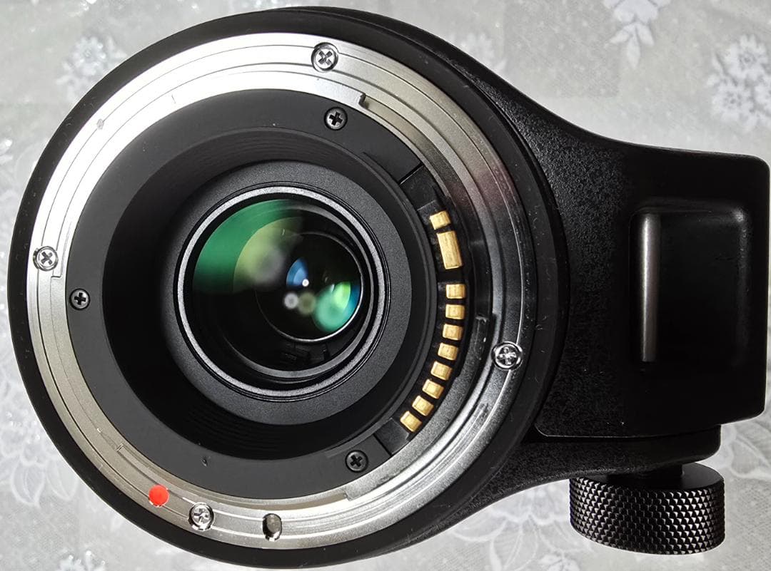 超望遠ズームレンズ 150-600mm F5-6.3 For Canon