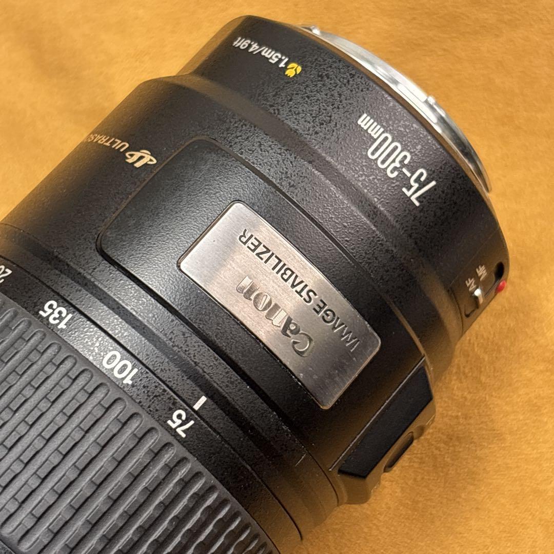 Canon EF 75-300mm IS USM 手振れ補正付き 望遠レンズ