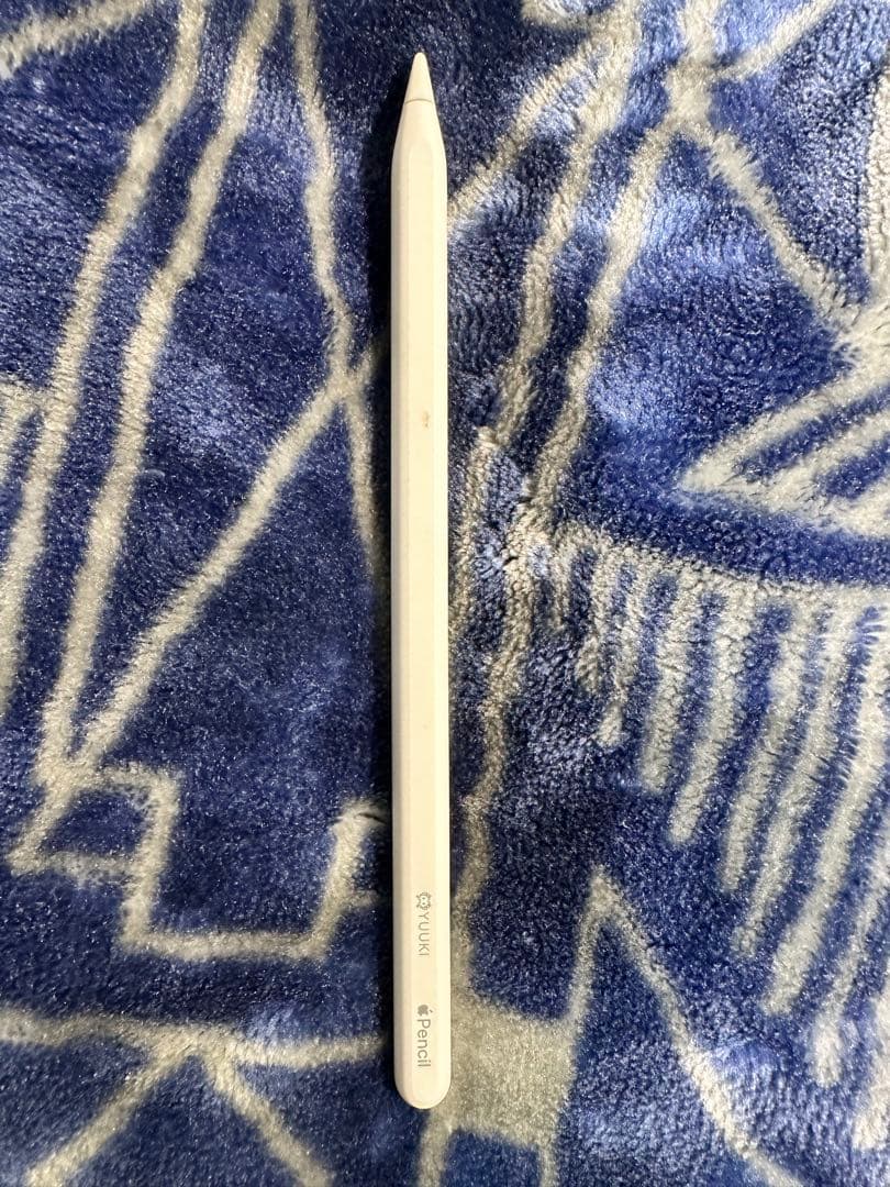 iPad Pro 11 第3世代 256GBとペンシル二代セト 【女性使用者】