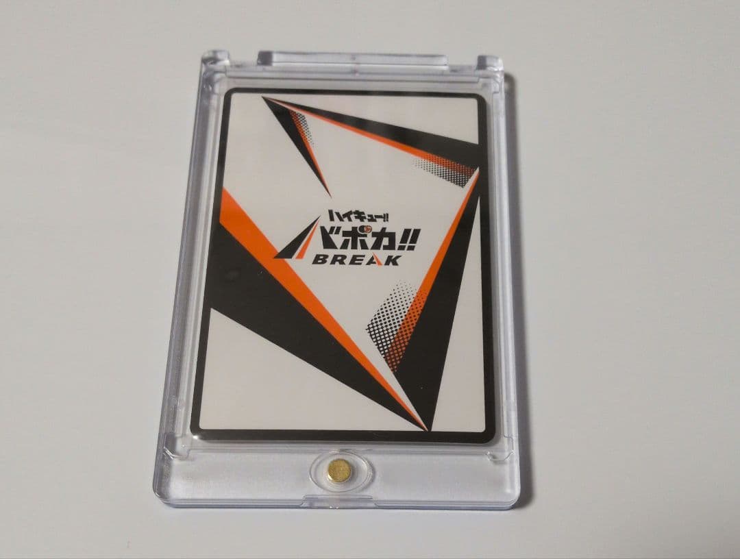 【お値下げ中】日向翔陽バボカ/極