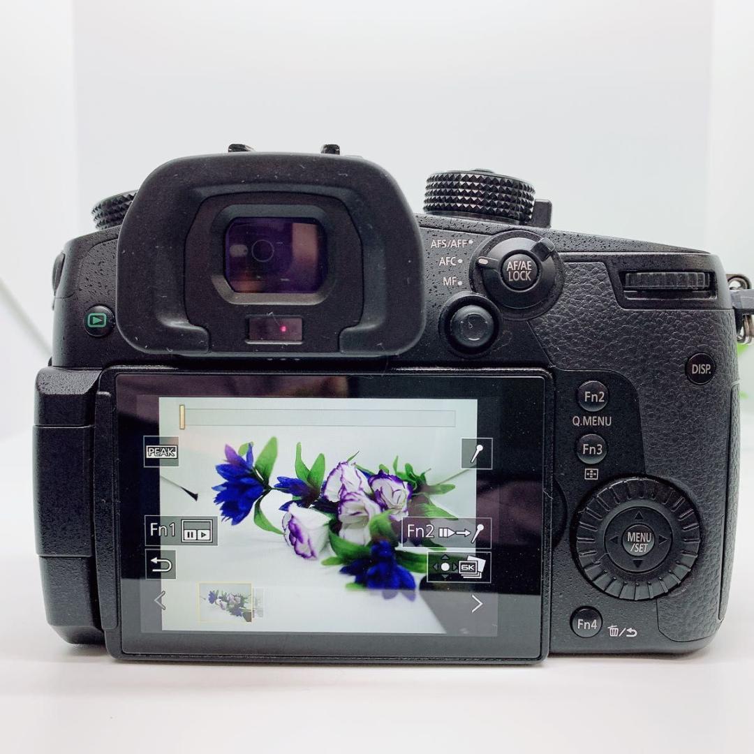 パナソニック デジタル一眼 DC-GH5 Panasonic M342