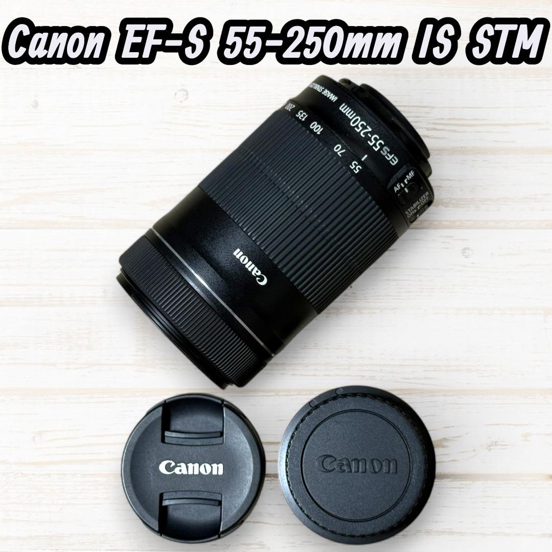 Canon ズームレンズ EF-S 55-250mm IS STM #176