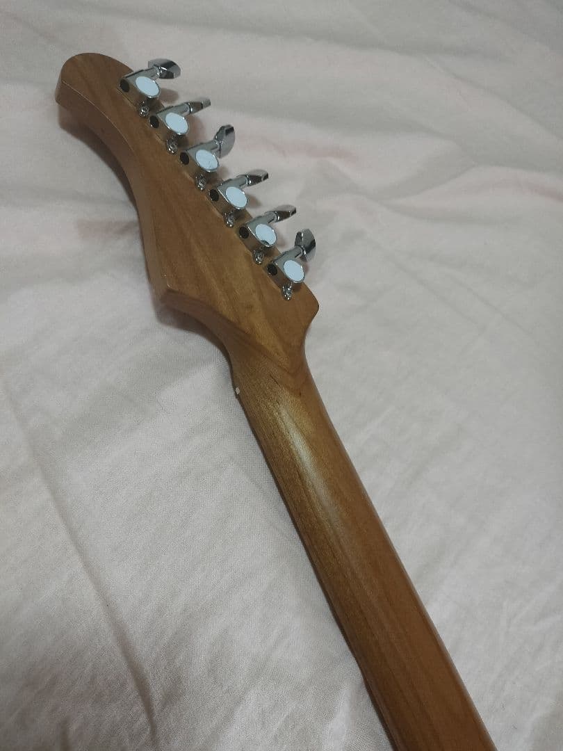 Bacchus バッカス ストラトキャスター サンバースト ケース 初心者最適