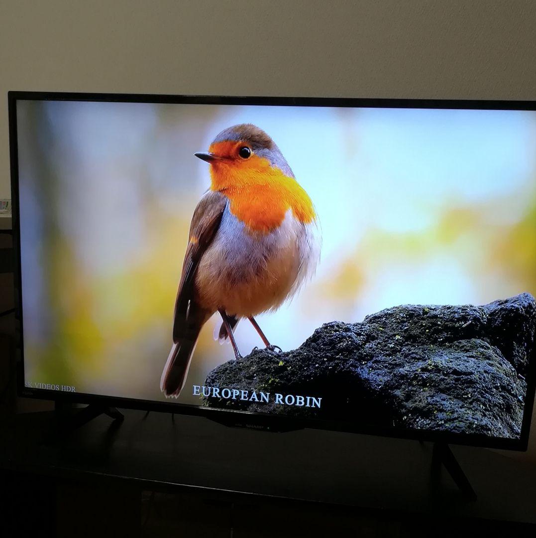 【UTTUさん専用】4K AQUOS　40型液晶テレビ