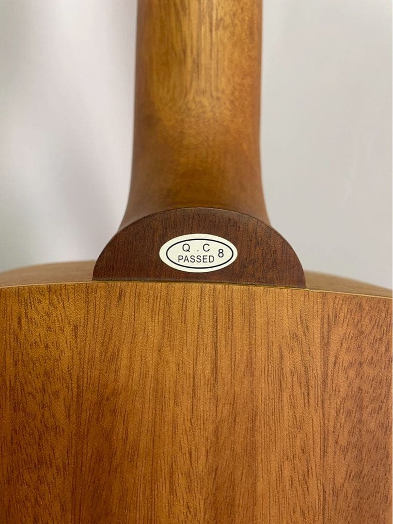 しのたんS.yairi アコースティックギター