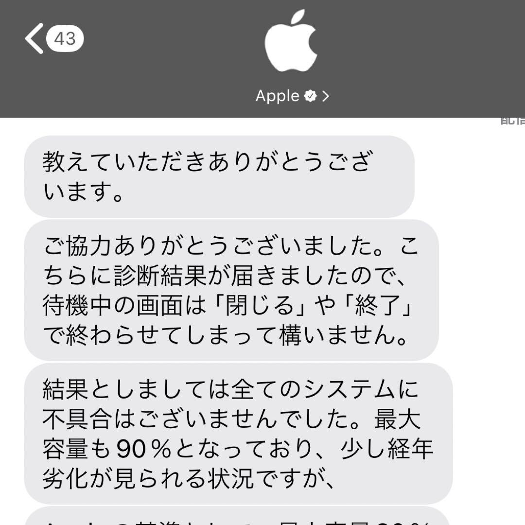 iPad Pro 12.9 第3世代 256GB