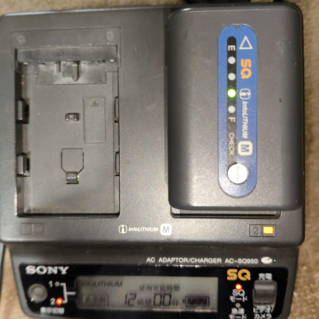 SONY ソニー Handycam DCR-TRV30 Mini DV