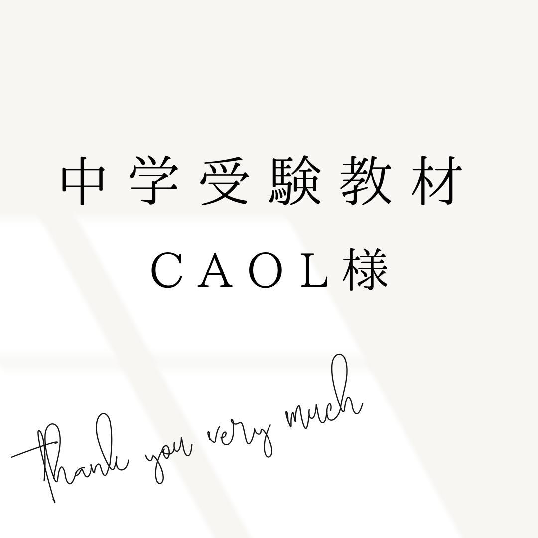 CaOl様 リクエスト 2点 まとめ商品