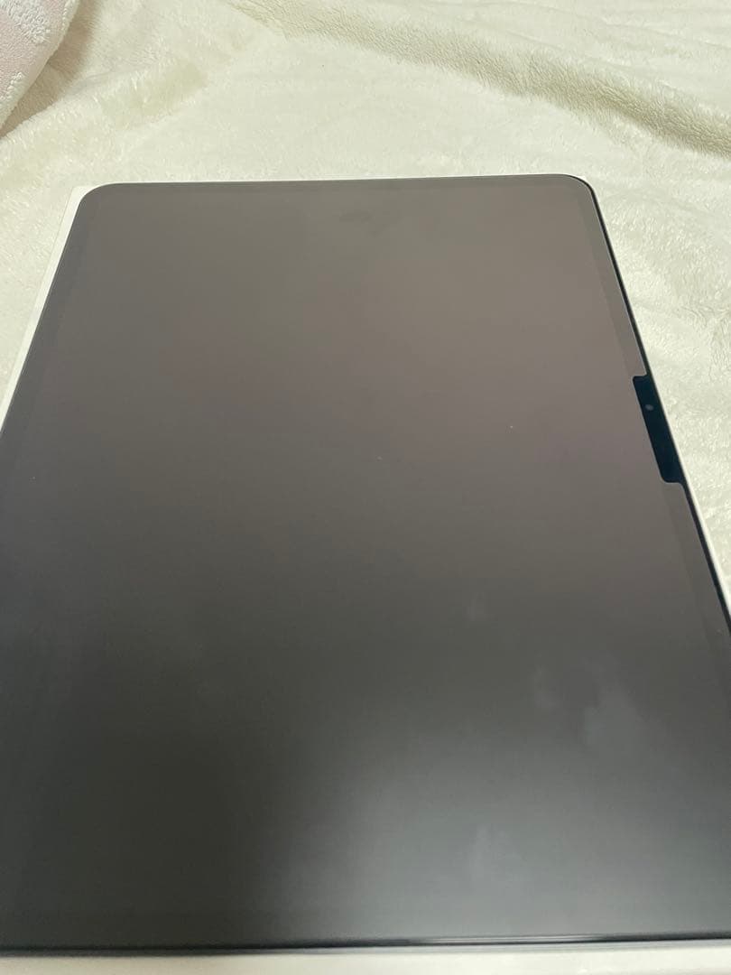 iPad Pro13インチ 256GB