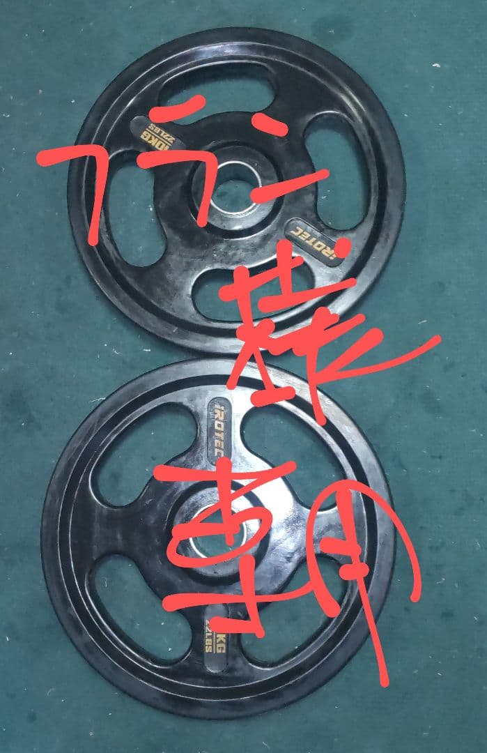 オリンピック プレート アイロテック 10kgプレート2枚