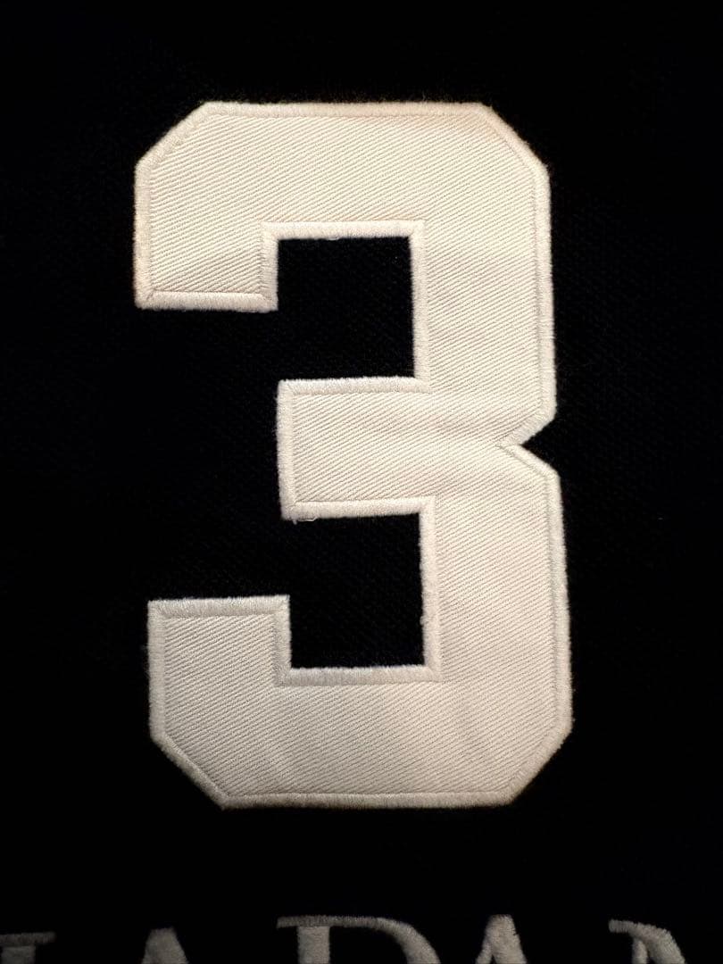 【入手困難】ポロバイラルフローレン　ビッグポニー トラックジャケット JAPAN